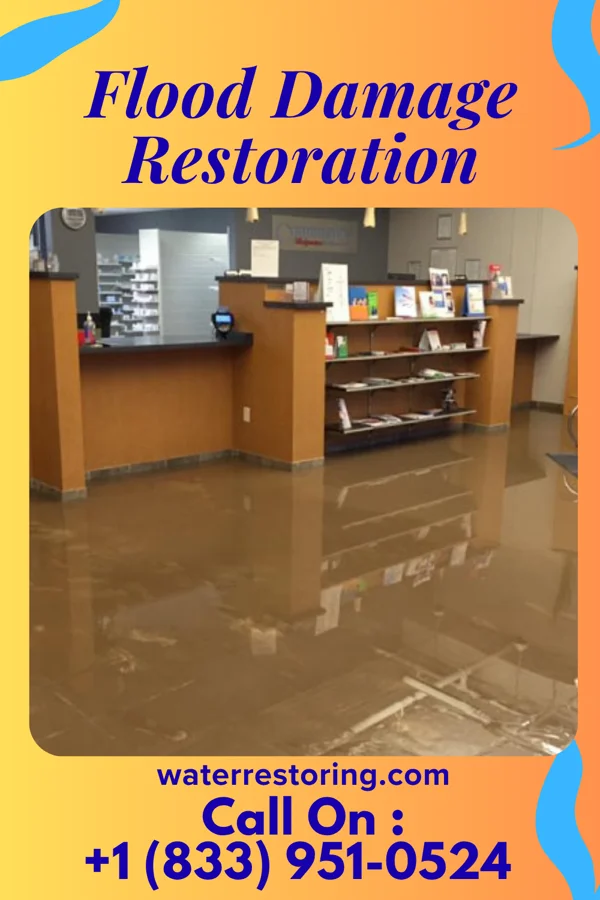 Flood Damage Restoration in Monarch Mill, SC