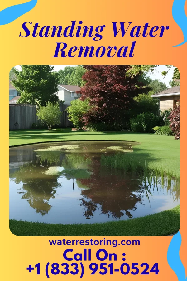 Standing Water Removal in Monarch Mill, SC